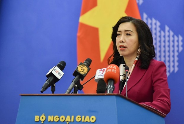 situation of vietnamese workers in africa sees certain improvements spokesperson picture 1