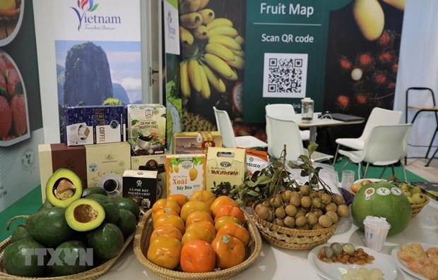 vietnam targets over us 5 billion in fruit export turnover by 2025 picture 1