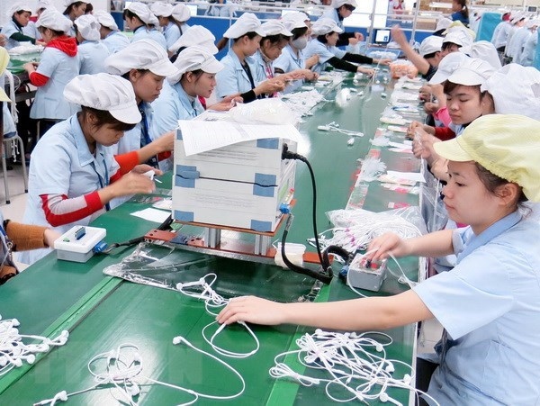 vietnam-rok investment partnership thrives over three decades picture 1