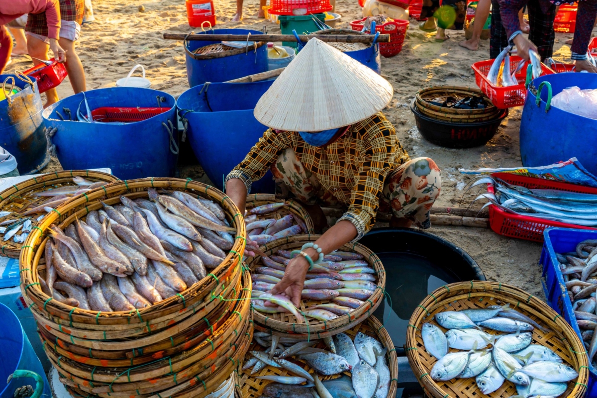 ve dep binh di vao sang som o cho ca lon nhat quang nam hinh anh 6