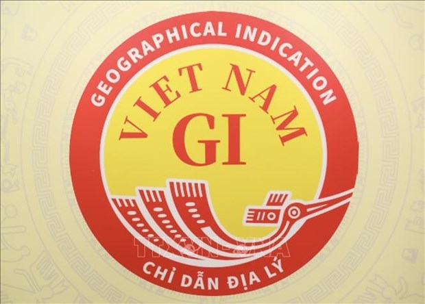 vietnam national geographical indication logo revealed picture 1 vietnam national geographical indication logo revealed picture 1