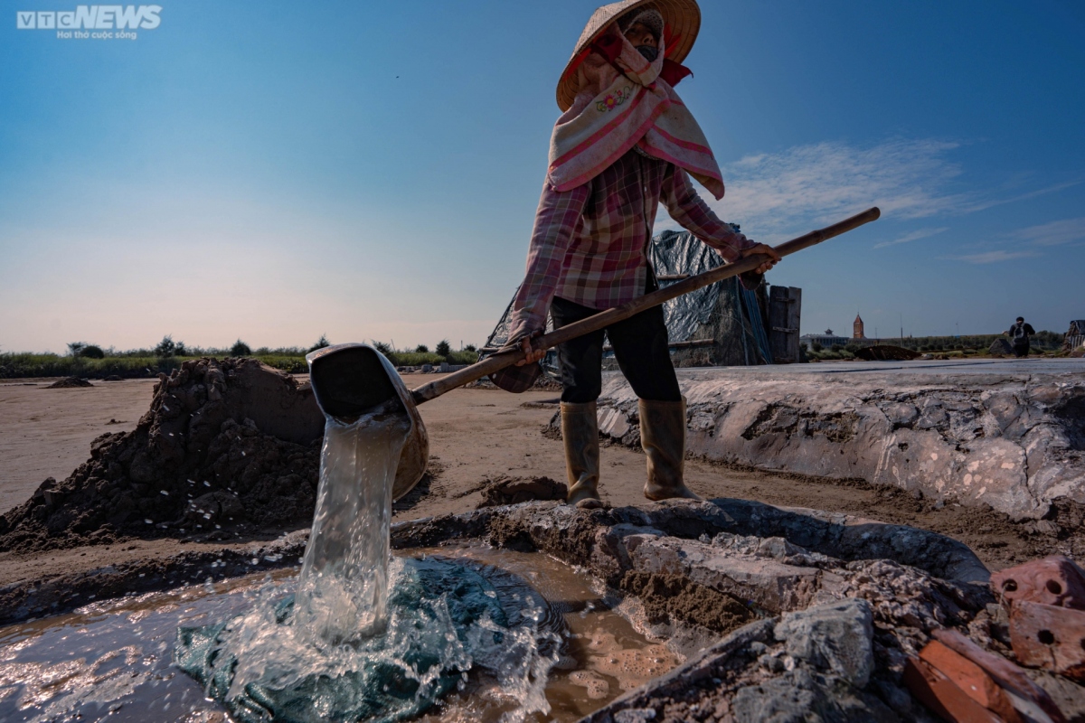 workers toil in largest salt field in northern vietnam picture 6