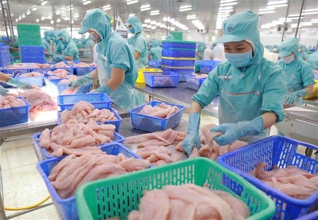 vietnam s aquatic product exports rake in us 9.39 bln in 10 months picture 1