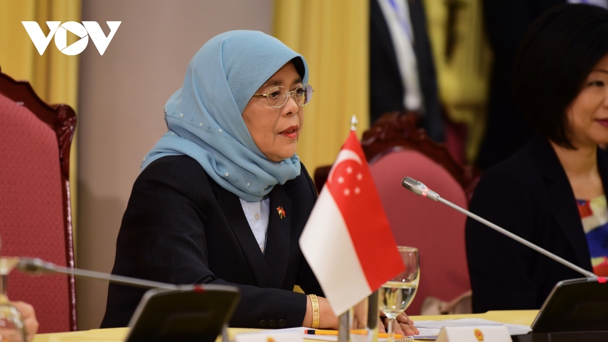 singaporean state leader halimah yacob welcomed in hanoi picture 8