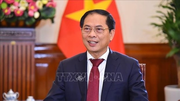 vietnam-china relations to get new push to grow further foreign minister picture 1