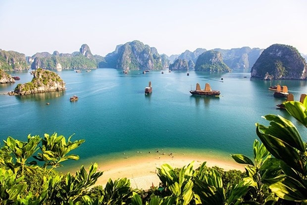 vietnam among most searched tourist destinations on google by australians picture 1