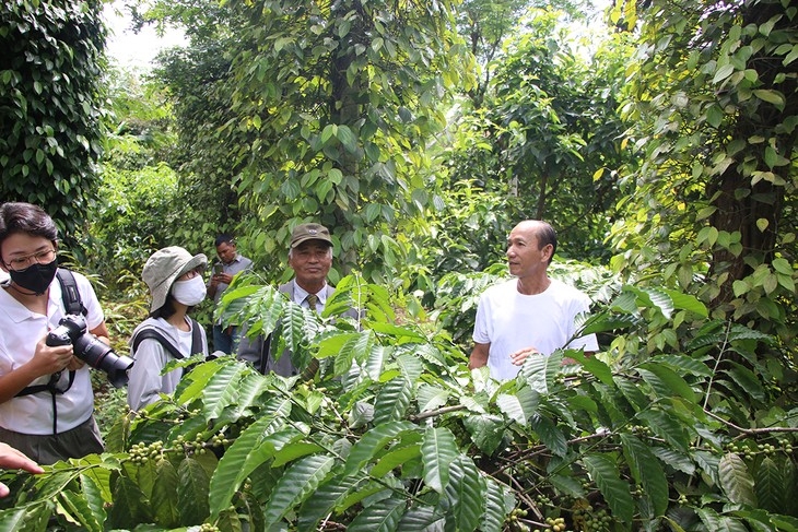 clear evidence of religious freedom in vietnam picture 2