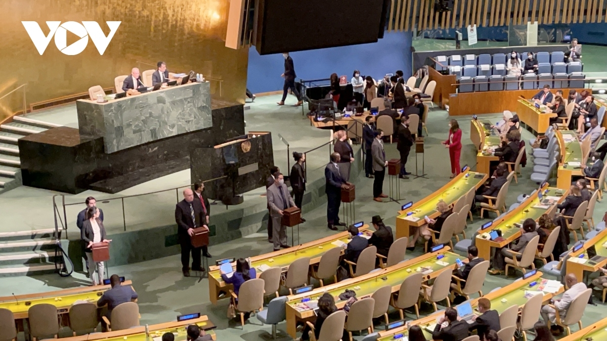 Vietnam elected to UN Human Rights Council for second time