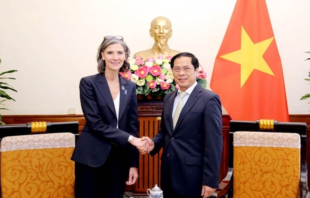 undp always attaches importance to cooperation with vietnam picture 1