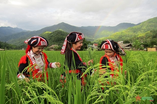 vietnam ensures gender equality in political and public life picture 2