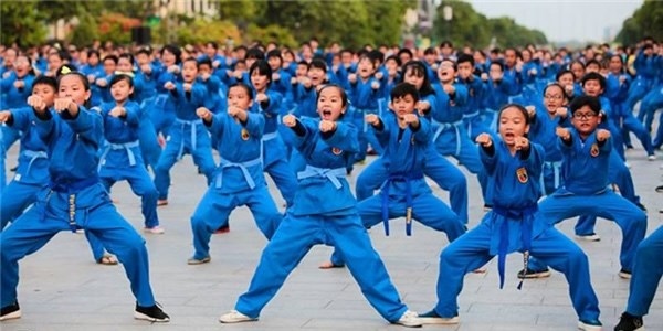 fifth vovinam ambassador championship concludes in algeria picture 1