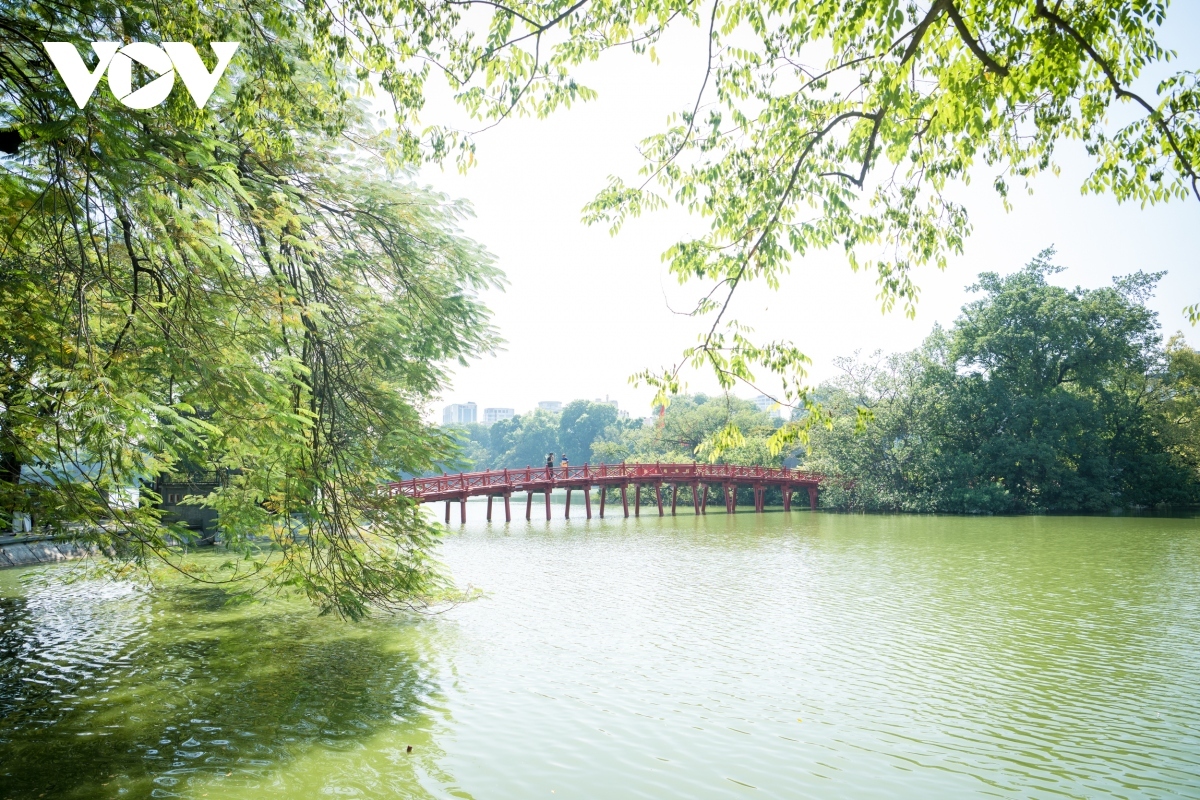 上古：我在大夏种地称王最新章节