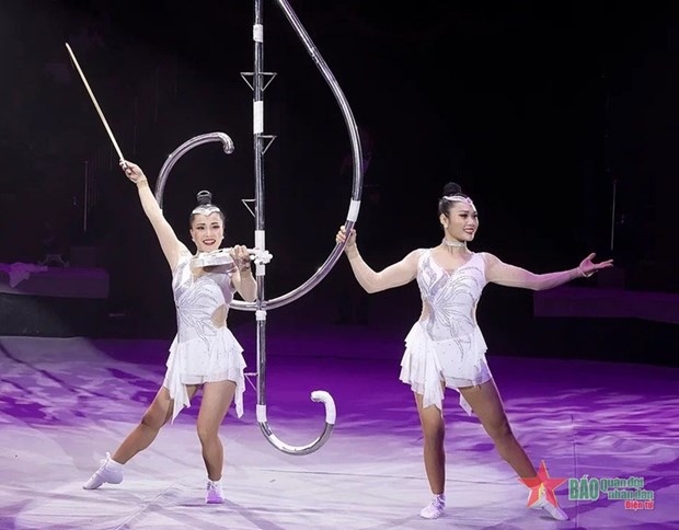 vietnam wins gold at international circus festival in russia picture 1