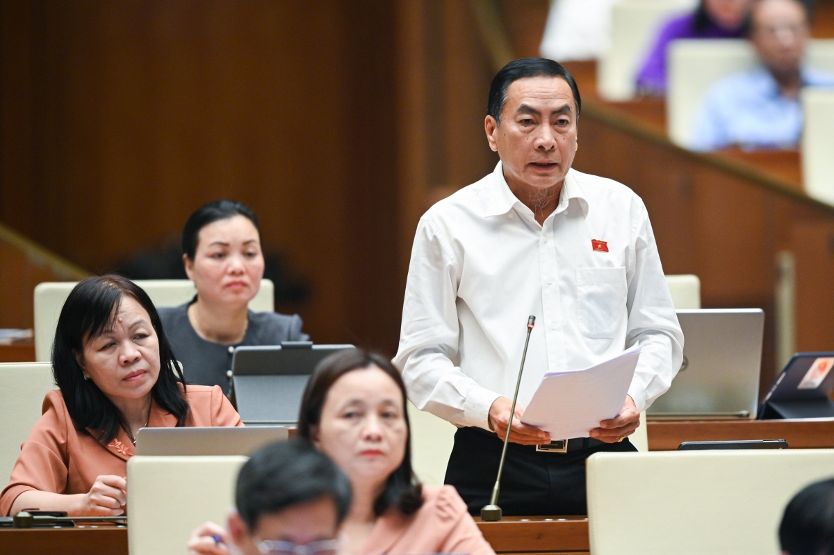 Dai bieu quoc hoi lo ngai truoc hang loat vu giet nguoi vi tinh, vi ghen tuong hinh anh 1