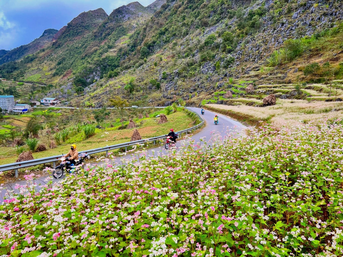 du khach un un do ve, ha giang tac duong, cho dem Dong van dong nghet tho hinh anh 10