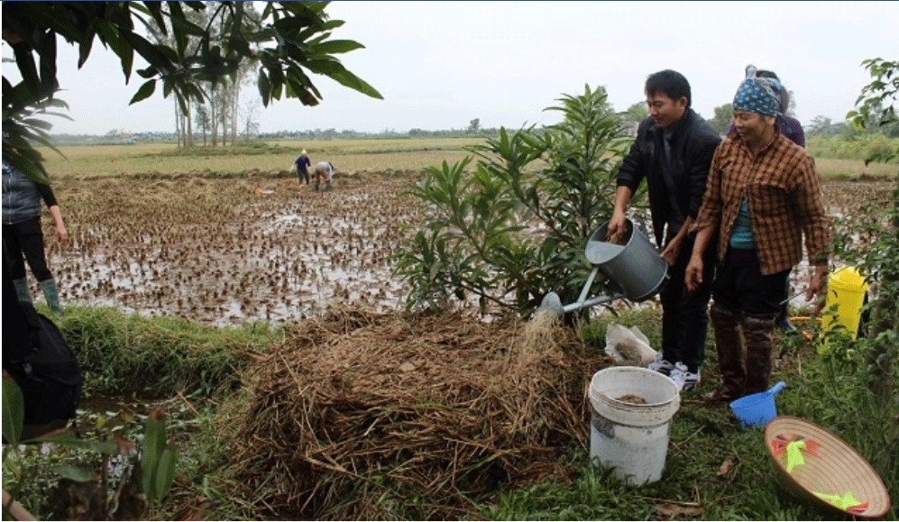 them che tai, ha noi van chua dat muc tieu khong dot rom ra hinh anh 3