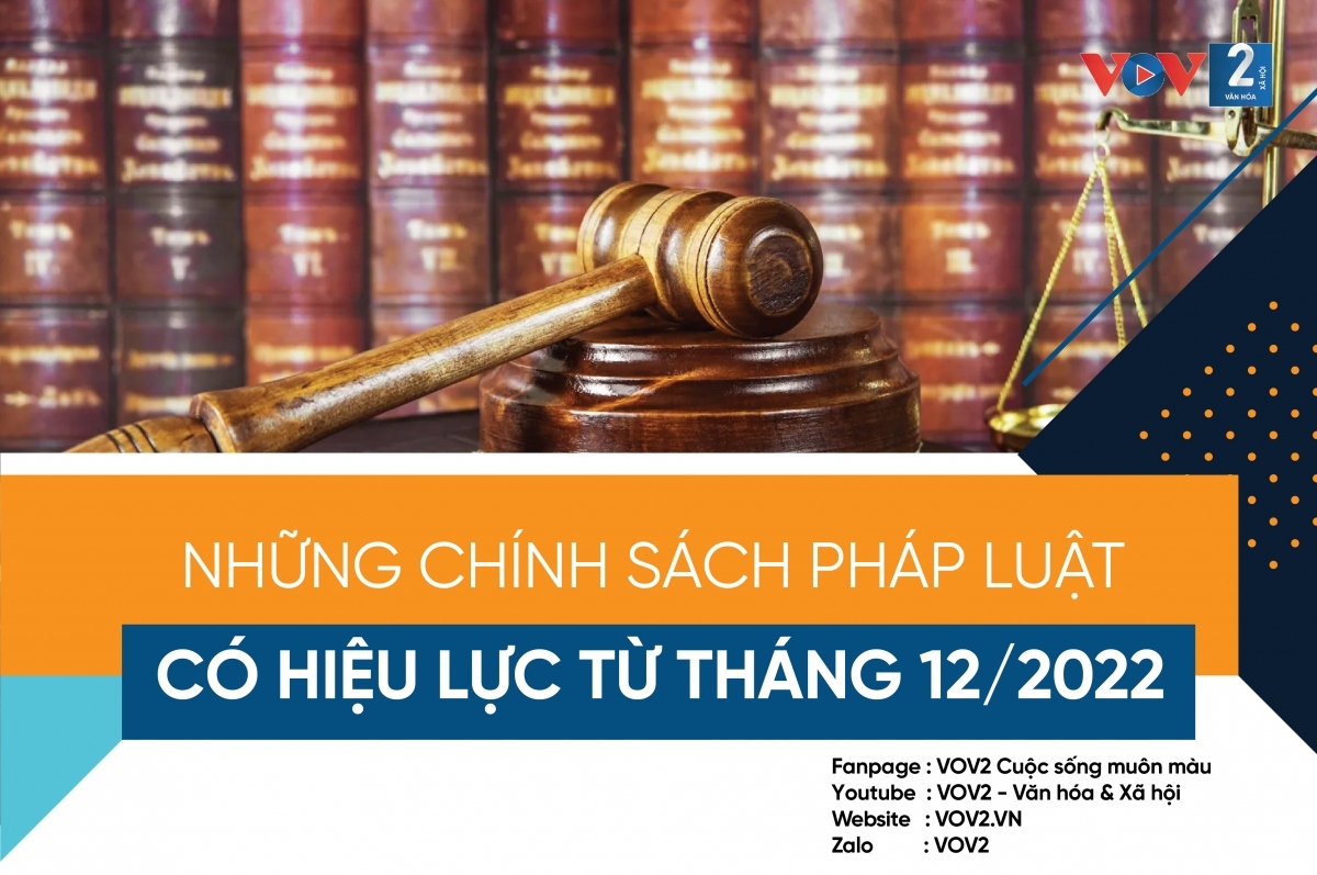 nhung chinh sach phap luat co hieu tu thang 12 2022 hinh anh 1