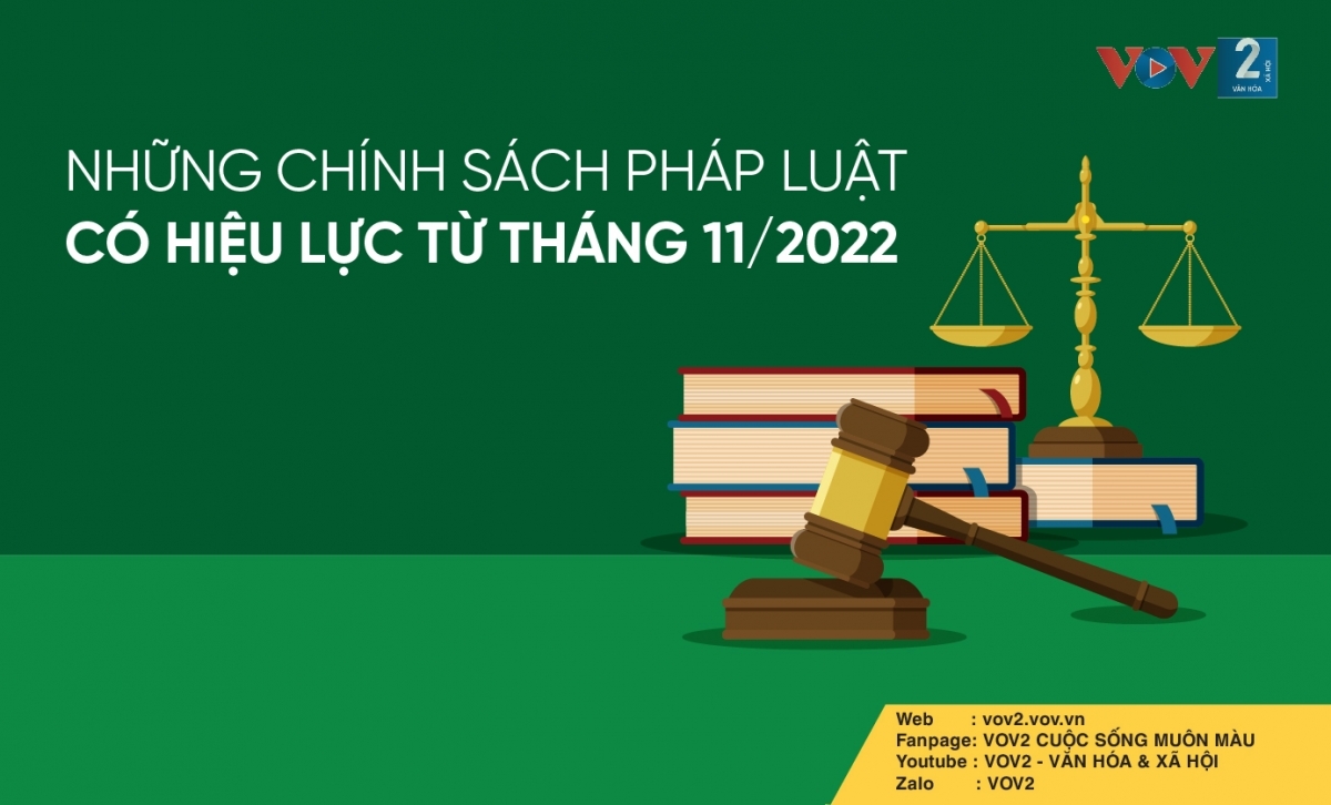 Những chính sách pháp luật có hiệu lực từ tháng 11/2022