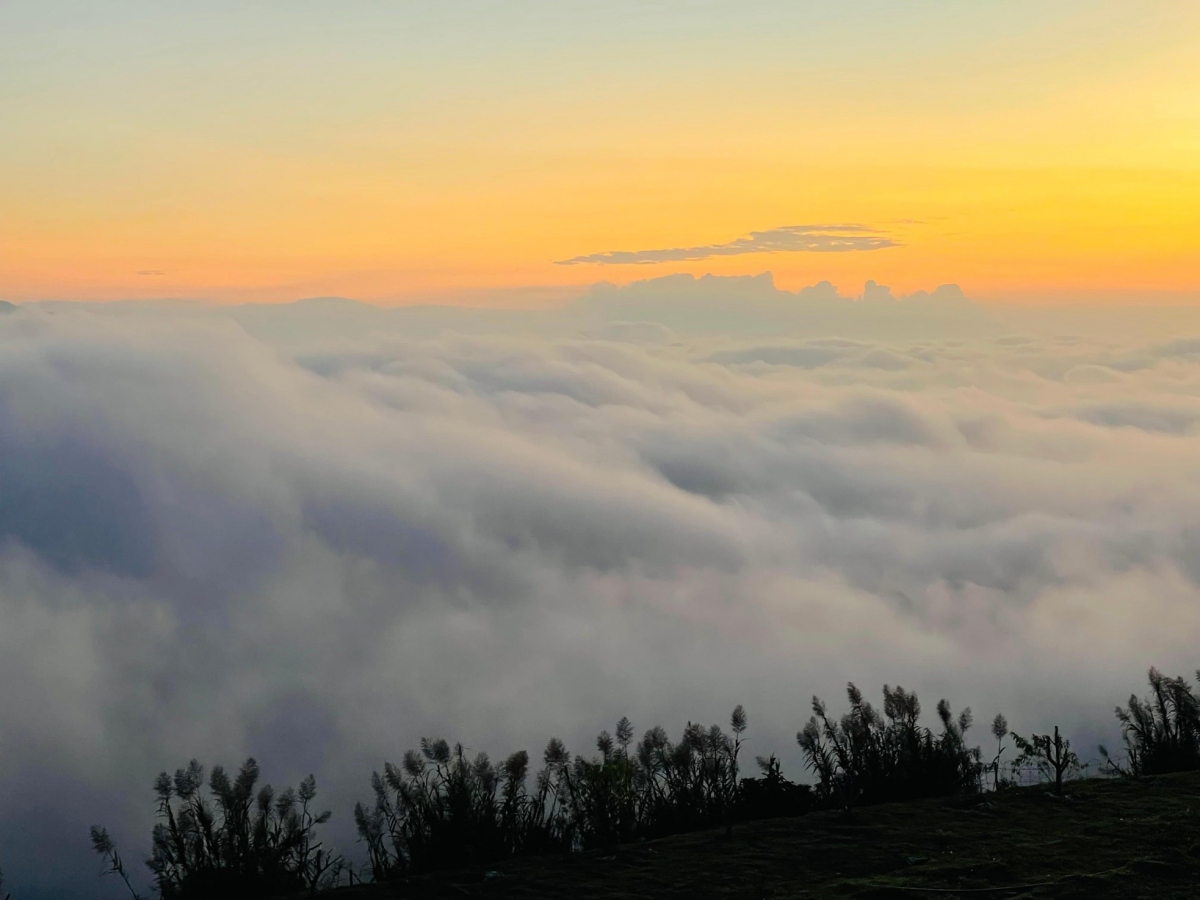 Khám phá 'thiên đường săn mây' mới ở Sơn La