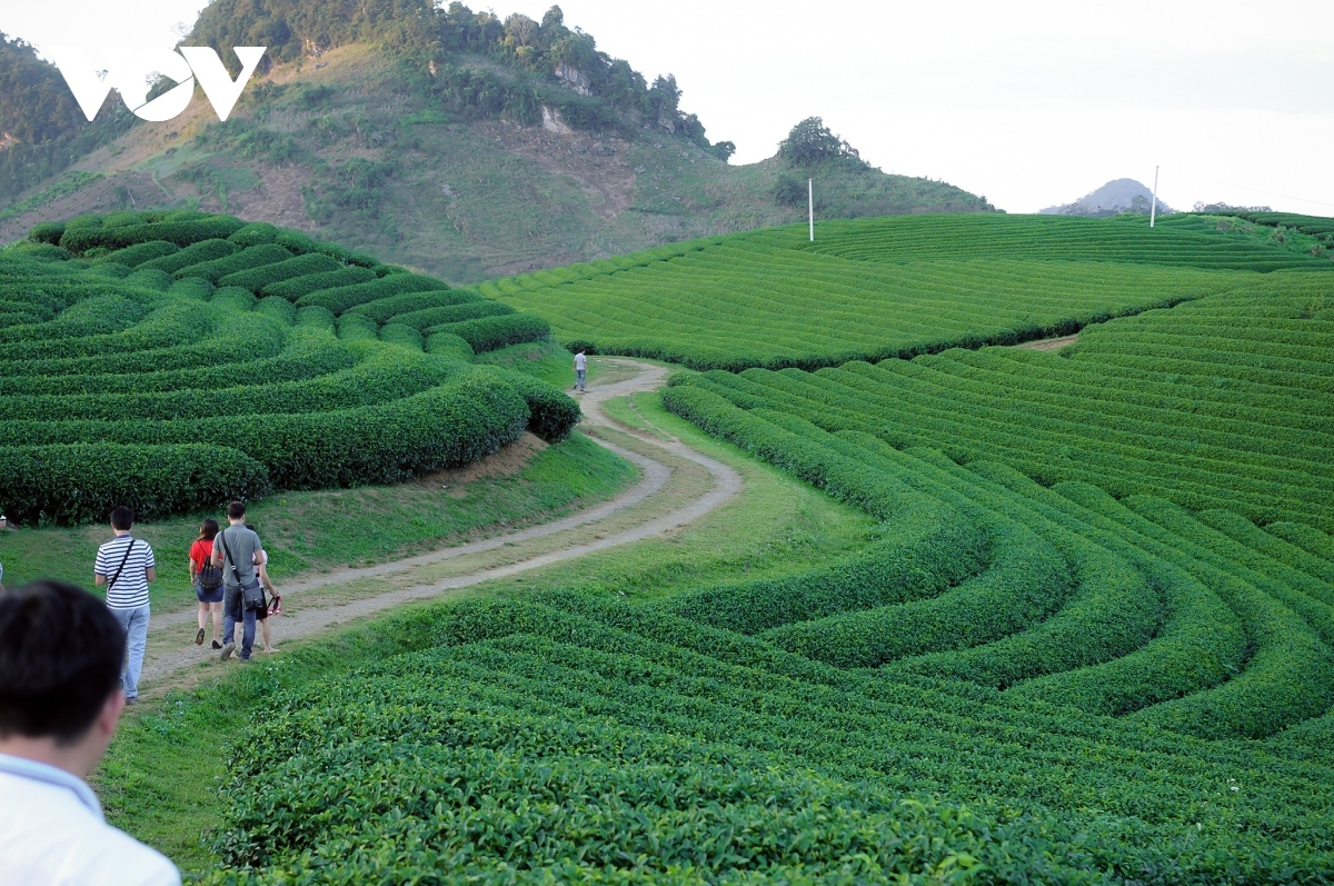 Dia phuong ky vong du lich phat trien, doi doi nho co san bay hinh anh 3