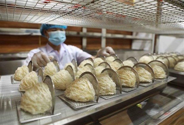 efforts to export bird s nests to china via official channels picture 1 efforts to export bird s nests to china via official channels picture 1