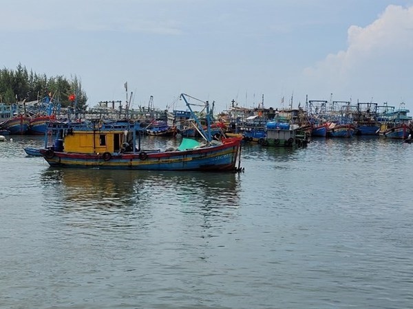 vietnam works hard to prevent fishing vessels infringement of foreign waters picture 1
