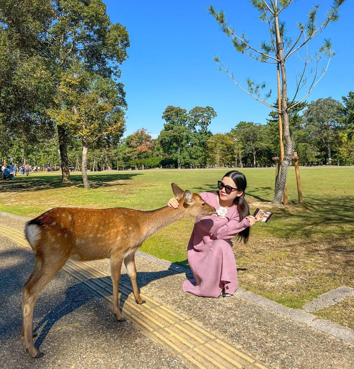 Nữ travel blogger gợi ý kinh nghiệm du lịch Nhật Bản hợp với khách Việt