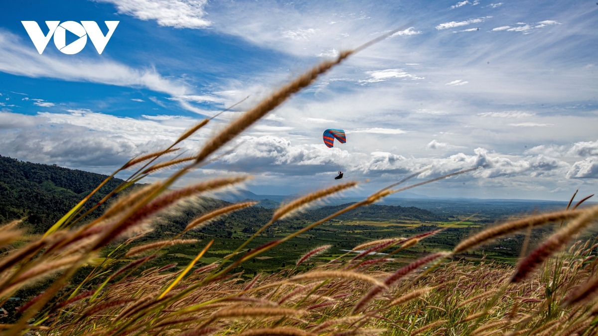 festival-goers experience paragliding over extinct volcano picture 11