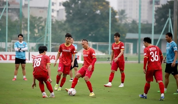 friendly match against dortmund important for vietnam, says park picture 1