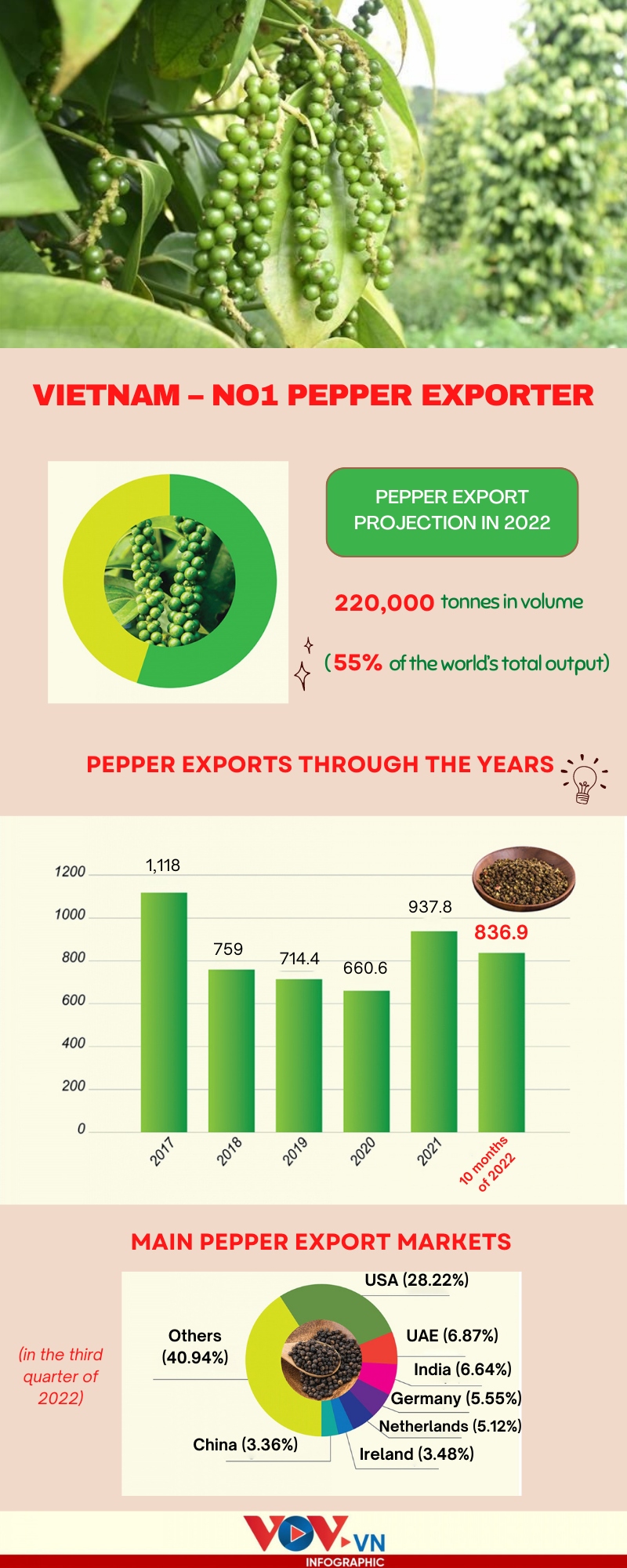 vietnam retains world s top pepper export position picture 1