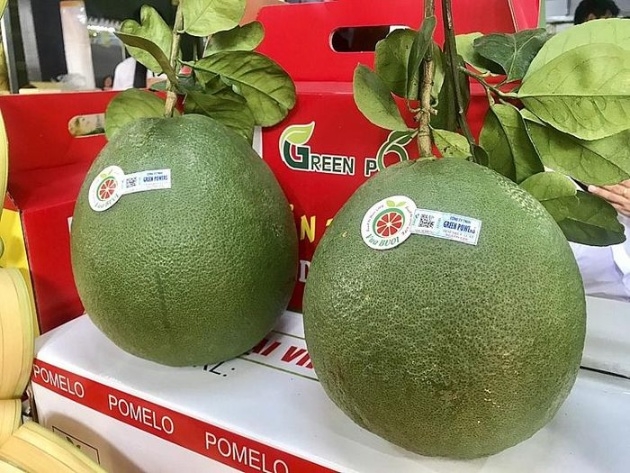 Two more Vietnamese fruits receive green light to enter New Zealand