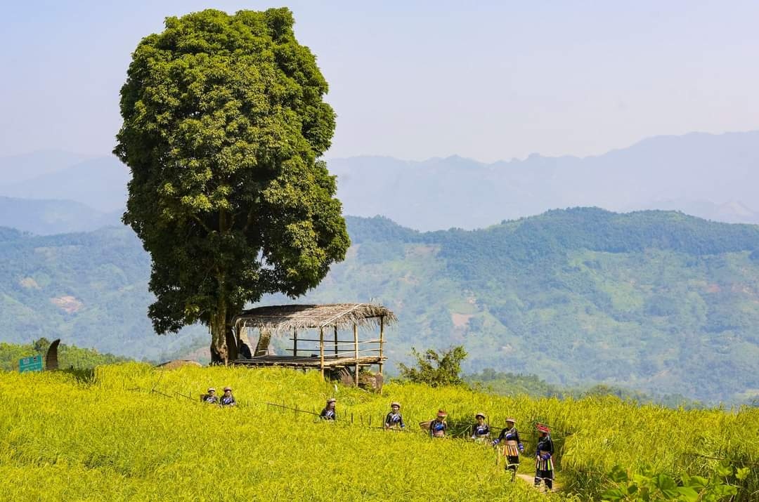 trai nghiem kho quen cua du khach tu sac thu ho ba be hinh anh 4