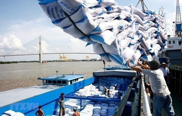 vietnam s rice export to hit 7 million tonnes this year picture 1