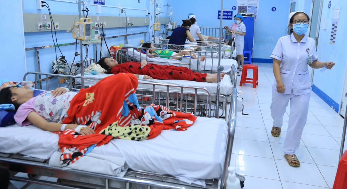 dengue fever cases in hanoi exceed warning level picture 1