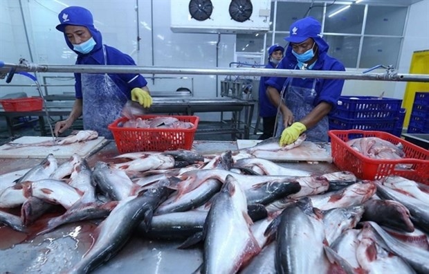 china expected to remain largest importer of vietnamese pangasius in 2022 picture 1