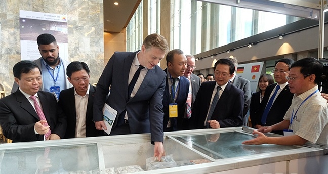 german businesses seek investment opportunities in binh dinh picture 1