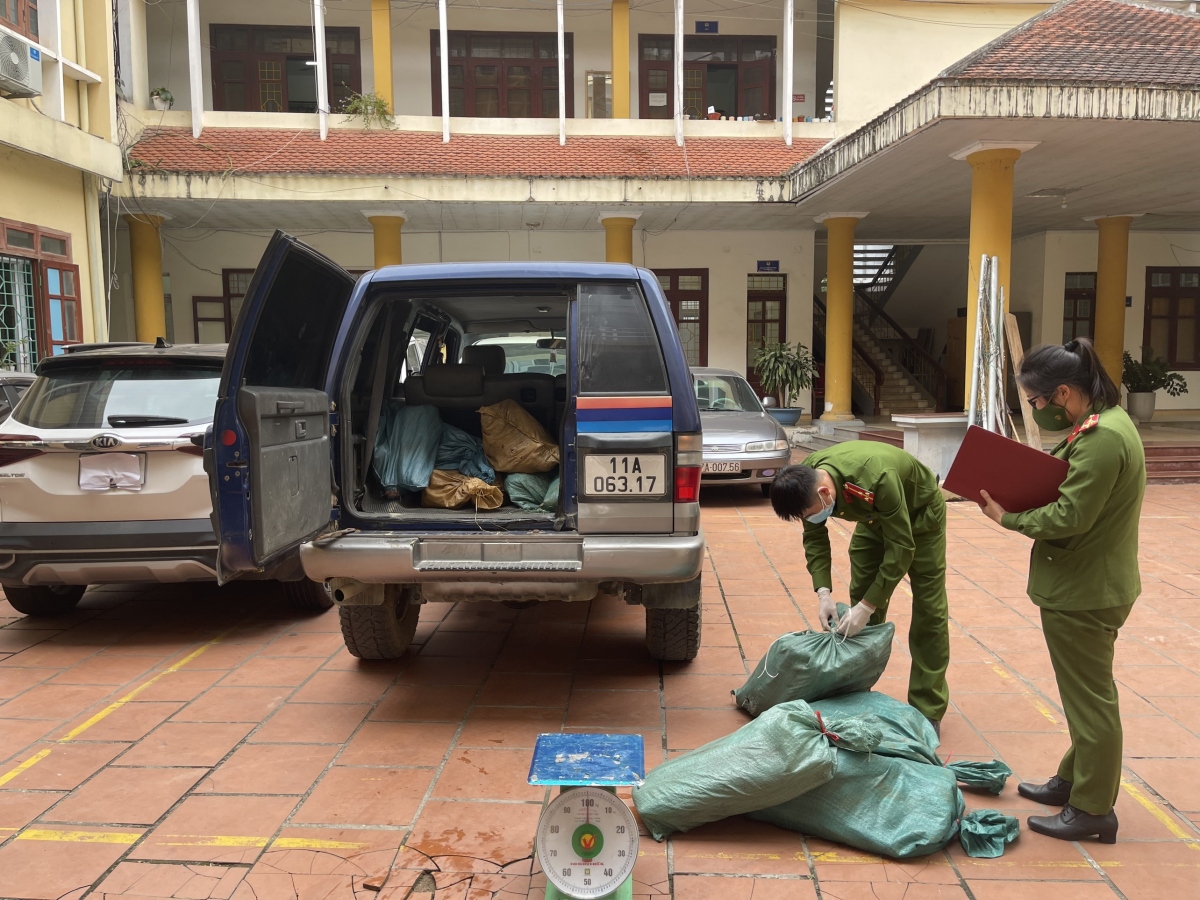 xe o to cho 200kg duoi trau dong lanh khong ro nguon goc hinh anh 1