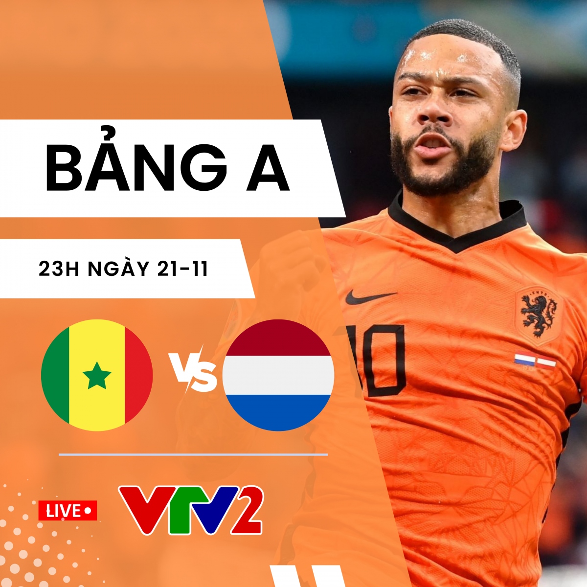 cach xem truc tiep senegal vs ha lan bang a world cup 2022 hinh anh 1