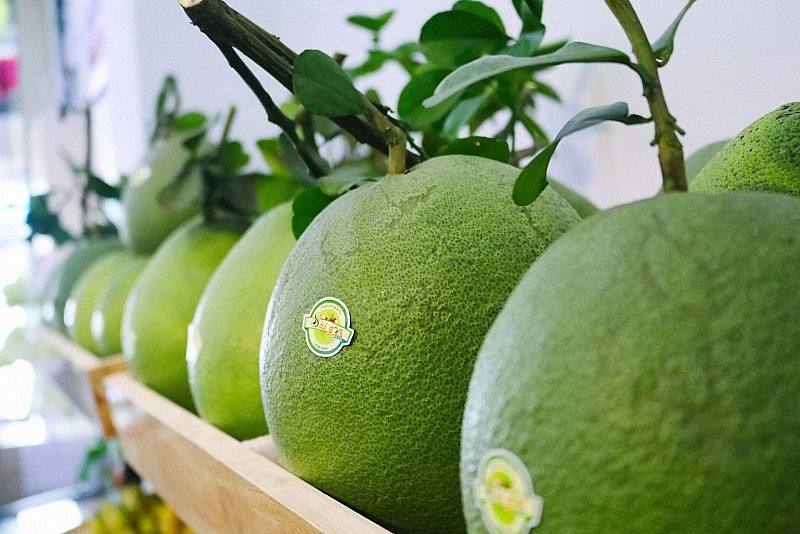 first batch of pomelo officially shipped to us market picture 1
