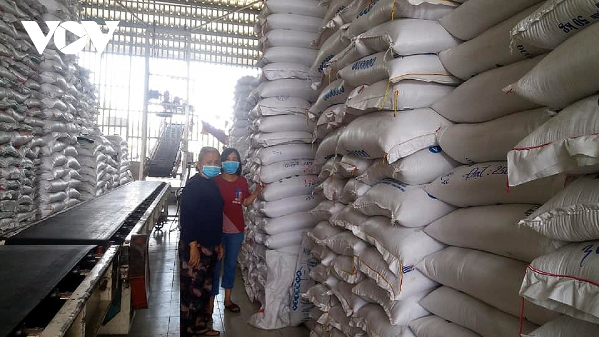 vietnam imports approx. one million tonnes of rice in 2021 picture 1