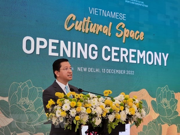 forum promotes vietnam s tourism in india picture 1