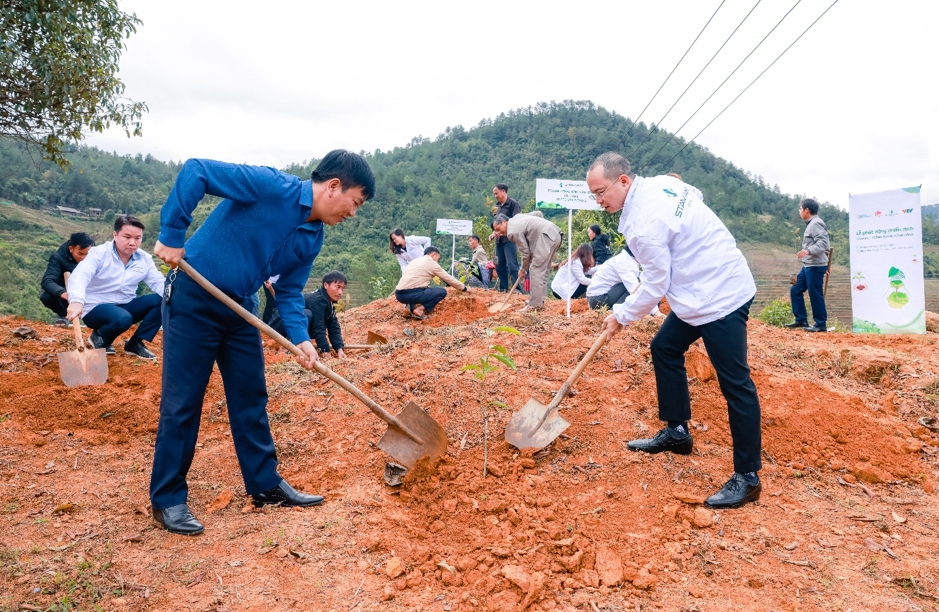 Phát động chiến dịch “Stavian - Trồng rừng Vững sống”