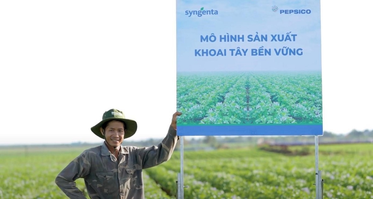 hop tac san xuat khoai tay ben vung syngenta - pepsico hinh anh 2