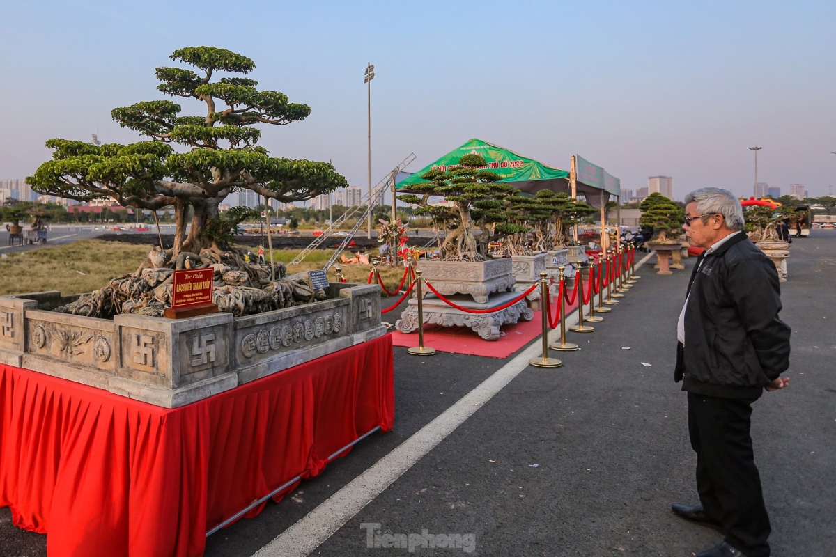 unique plants on display at hanoi ornamental creatures festival 2022 picture 1