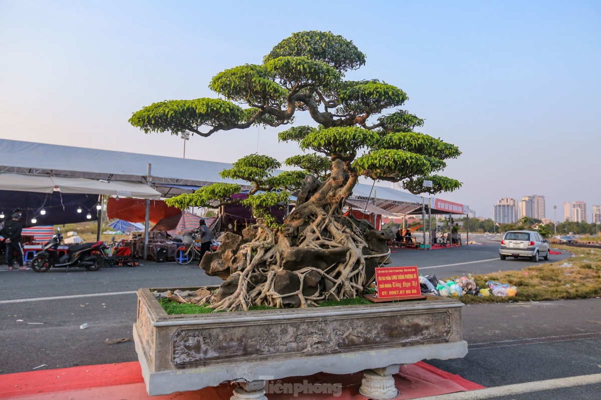 unique plants on display at hanoi ornamental creatures festival 2022 picture 13