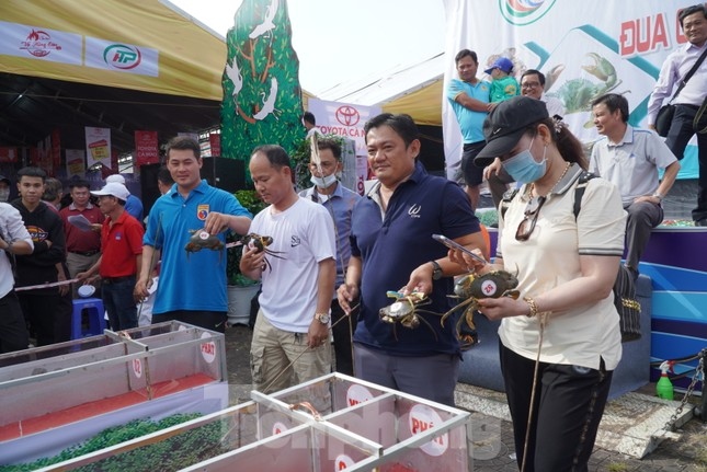 crab race excites crowds in ca mau province picture 6