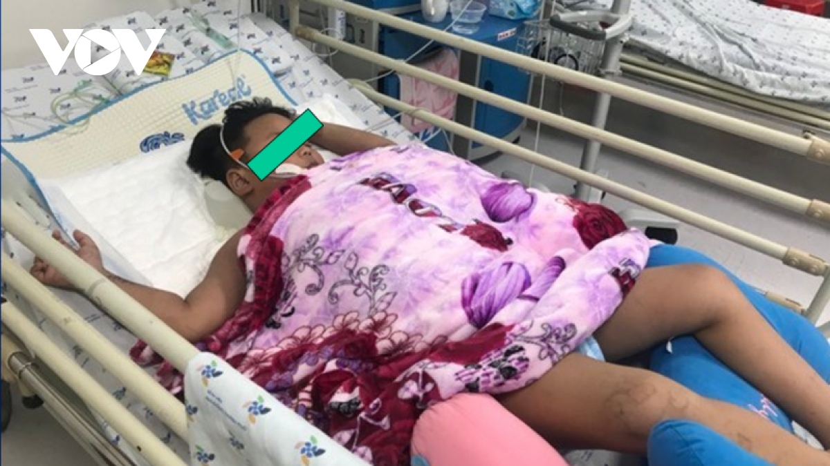 dengue outbreak in hcm city on downward trend picture 1 dengue outbreak in hcm city on downward trend picture 1