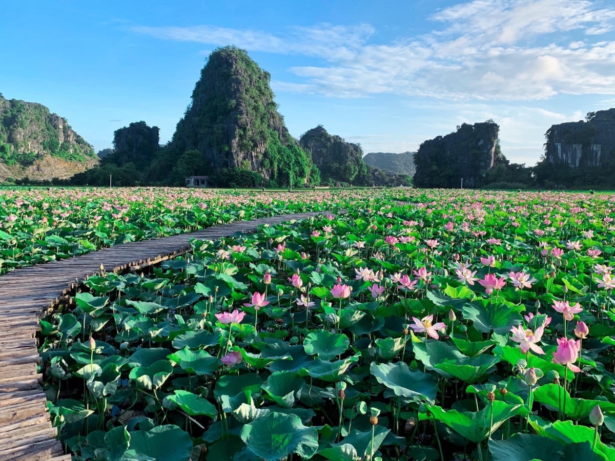 top places in northern vietnam for new year celebrations picture 2