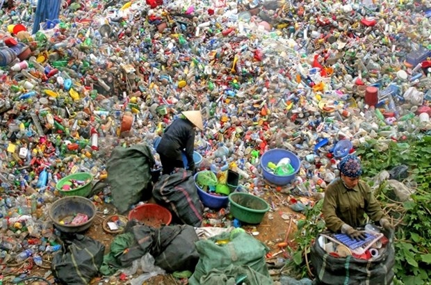 fees charged for recycling to take effect in 2024 picture 1