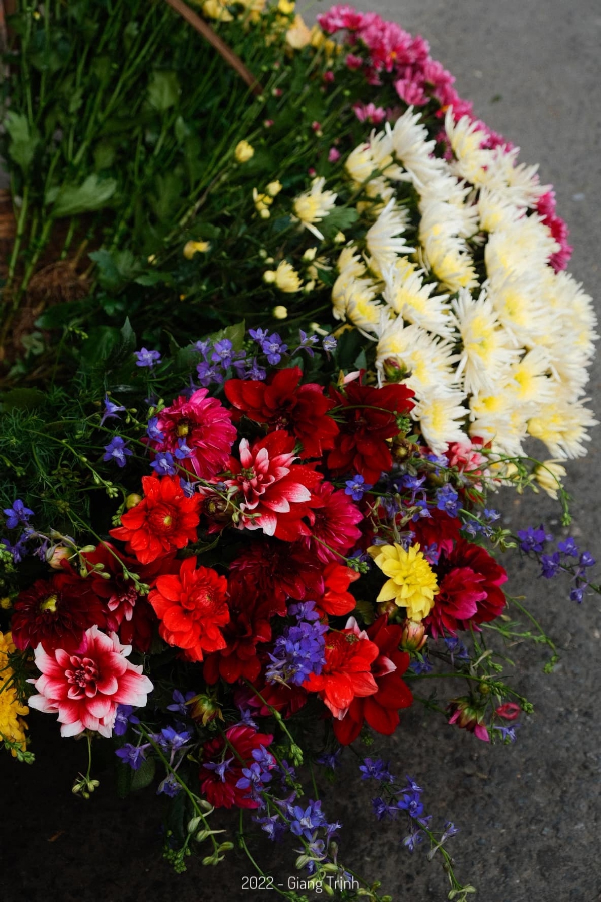 colourful flowers adorn streets of hanoi in wintertime picture 10